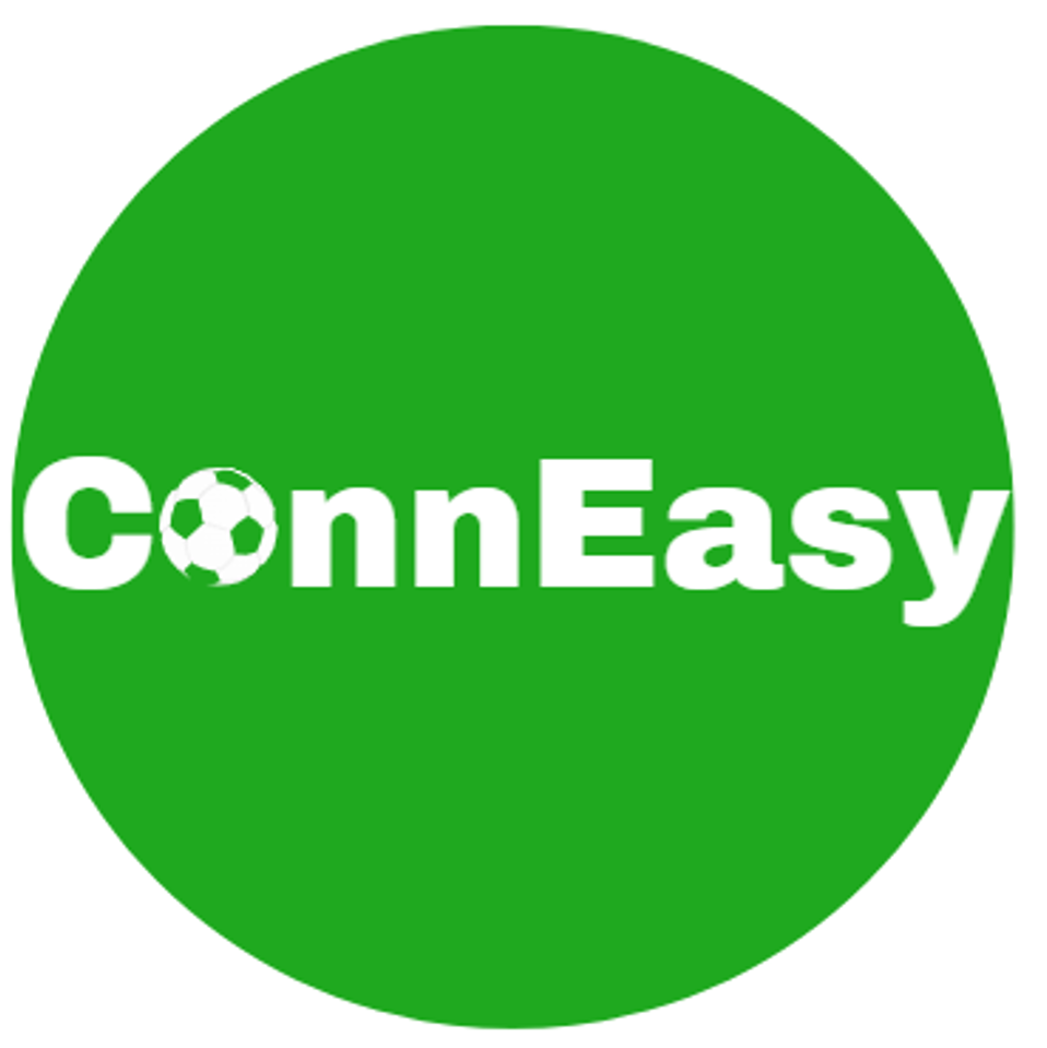 ConnEasy logo